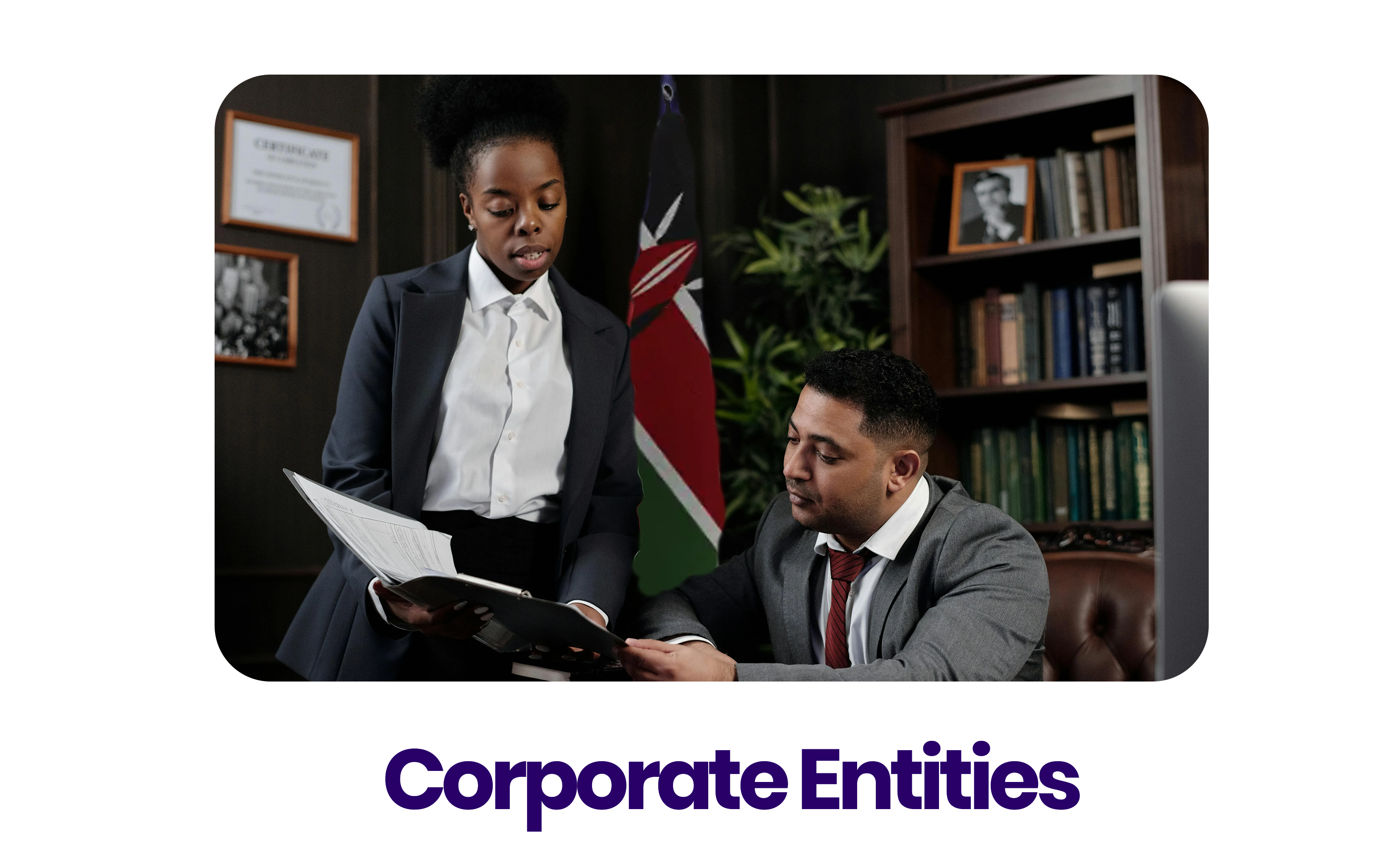 •_Corporate entities